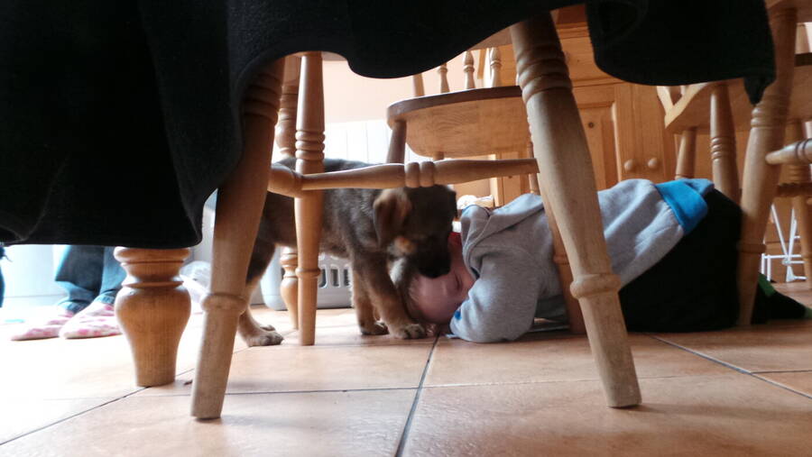 photographer RawPhotos uncategorized  photo