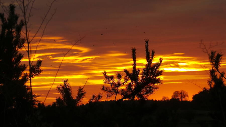 photographer RawPhotos uncategorized  photo