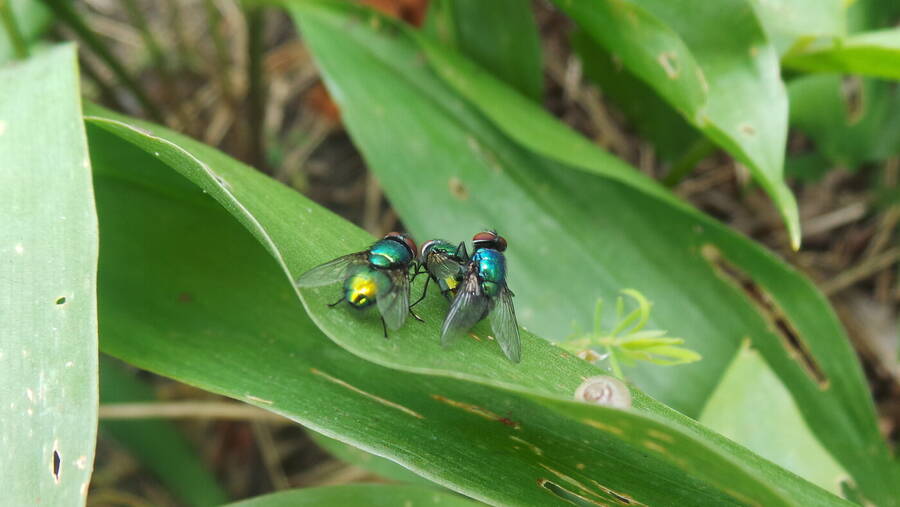 photographer RawPhotos uncategorized  photo