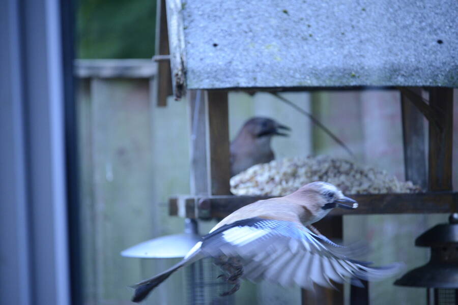 photographer RawPhotos uncategorized  photo