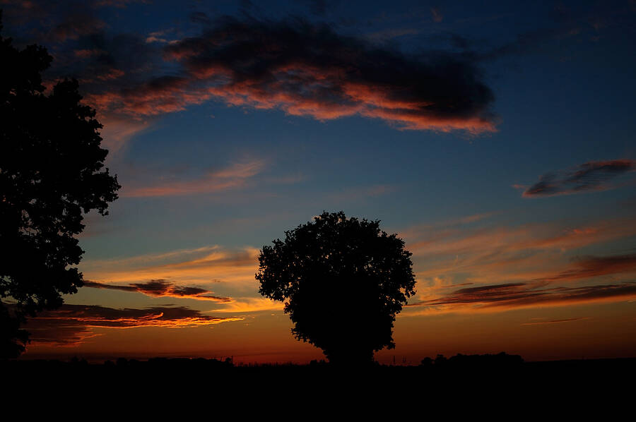 photographer Morph landscape  photo
