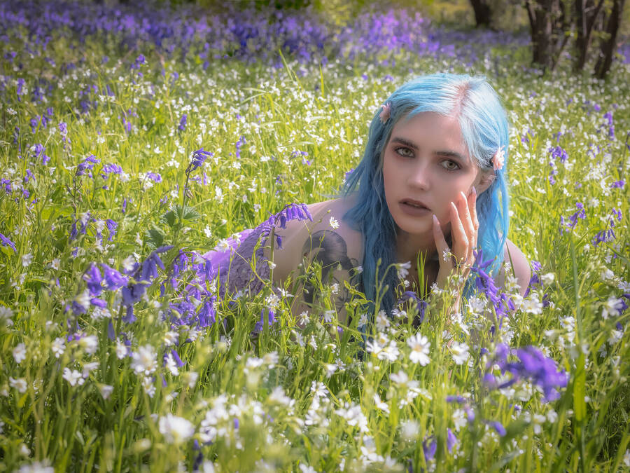 photographer Steve uncategorized  photo