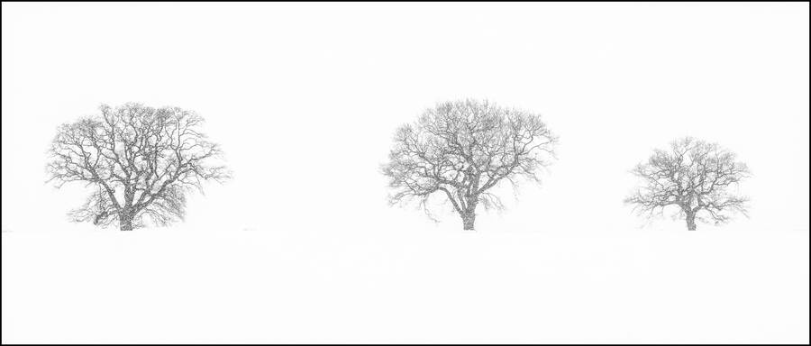 photographer Steve landscape  photo. winter snow.