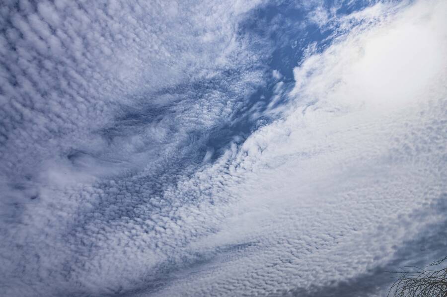 photographer CirroCu landscape  photo. upper clouds which are the remains of a cold front.