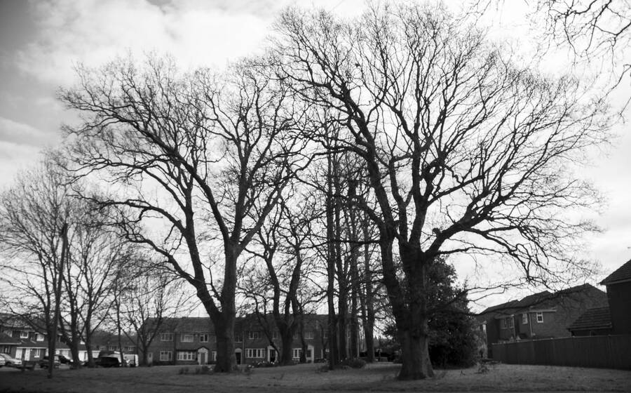 photographer CirroCu landscape  photo