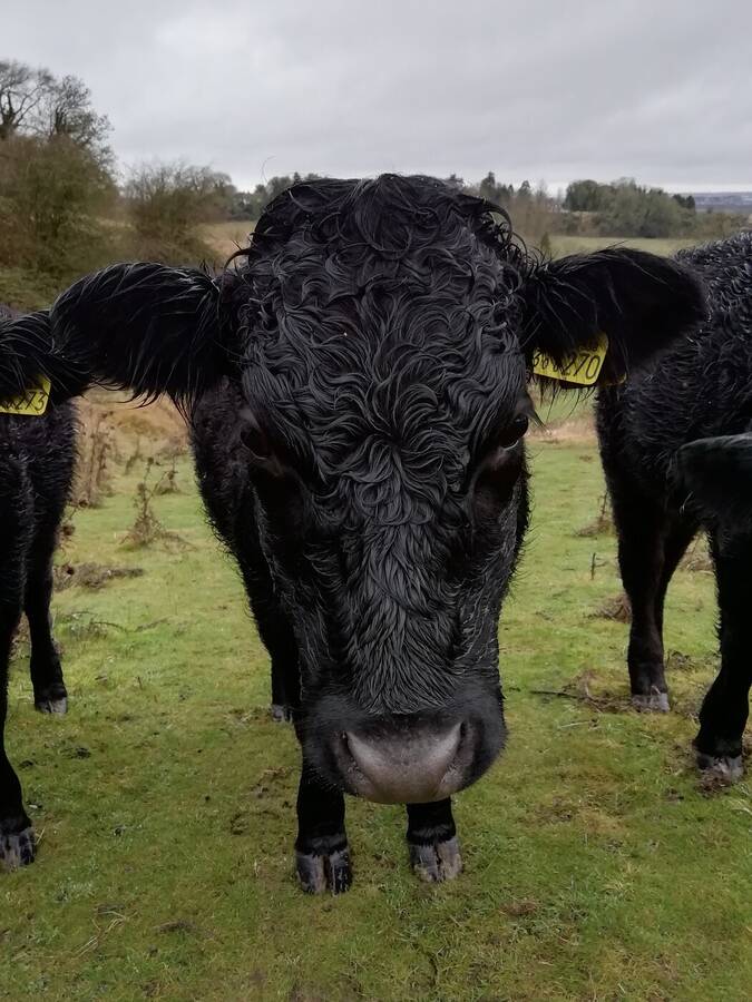 photographer Dave Wells uncategorized  photo