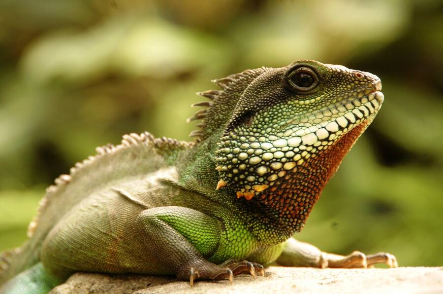 photographer Dave Wells uncategorized  photo