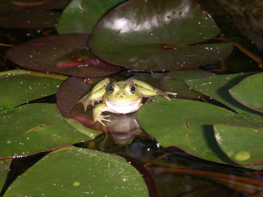 photographer Dave Wells uncategorized  photo