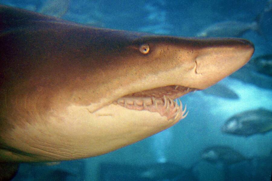 photographer Dave Wells uncategorized  photo