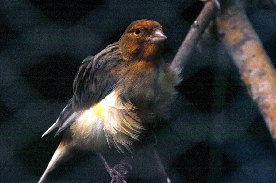 photographer Dave Wells uncategorized  photo