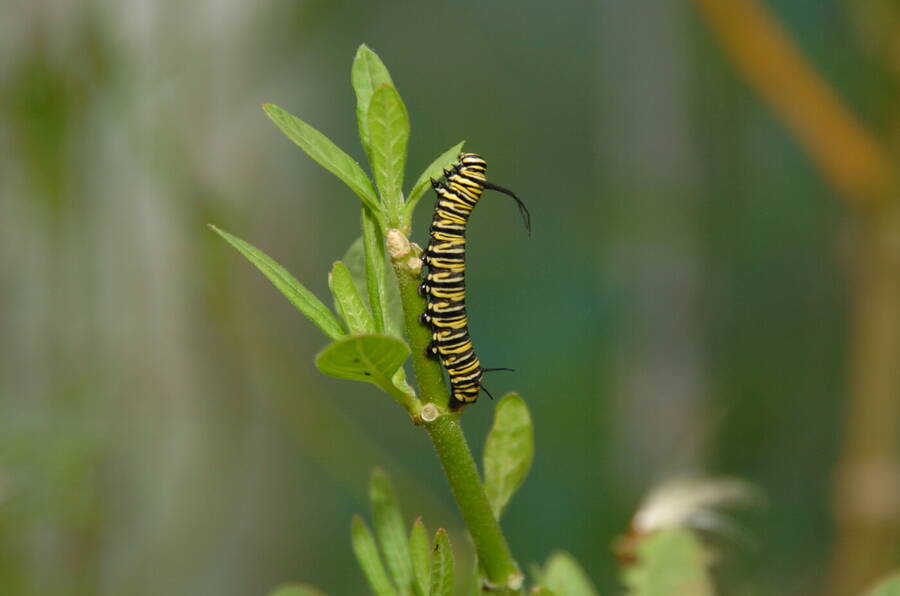 photographer Dave Wells uncategorized  photo