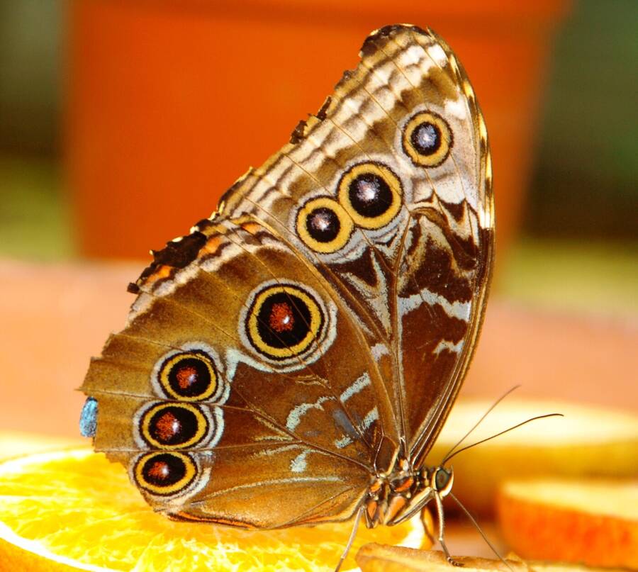 photographer Dave Wells uncategorized  photo