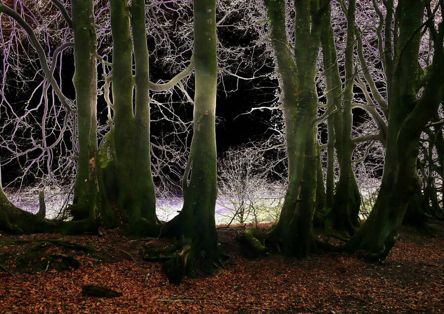 photographer photoarti fine art  photo