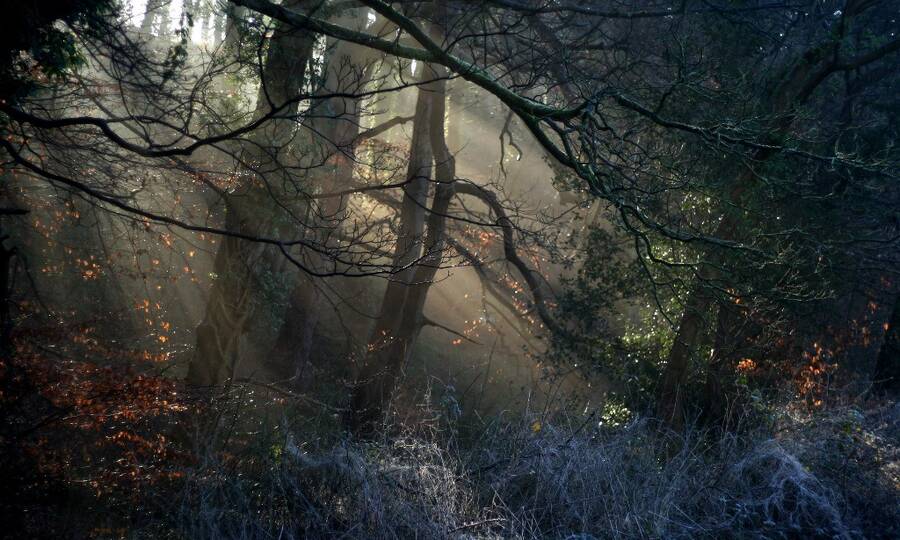 photographer DamoTogYP landscape  photo taken at Flintshire, N.Wales