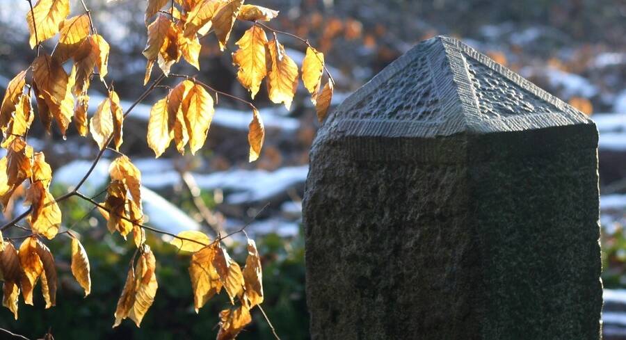 photographer DamoTogYP still life  photo taken at Flintshire, N.Wales