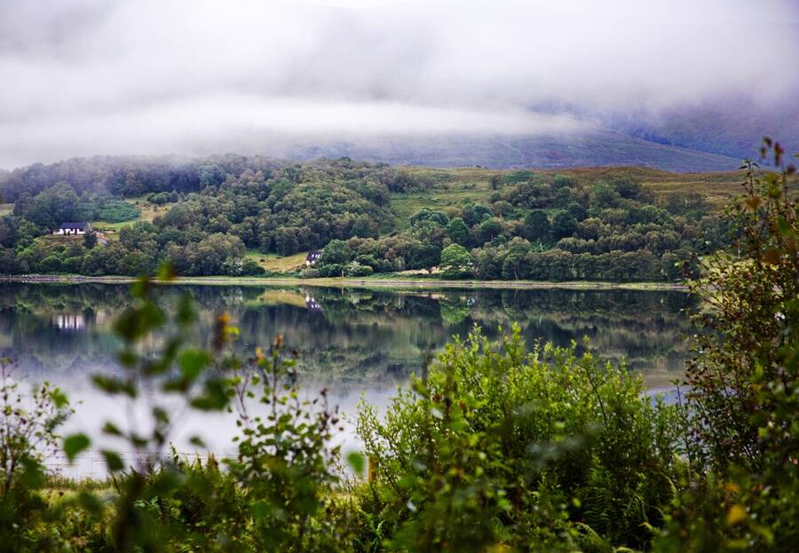 photographer Dangermouse landscape  photo