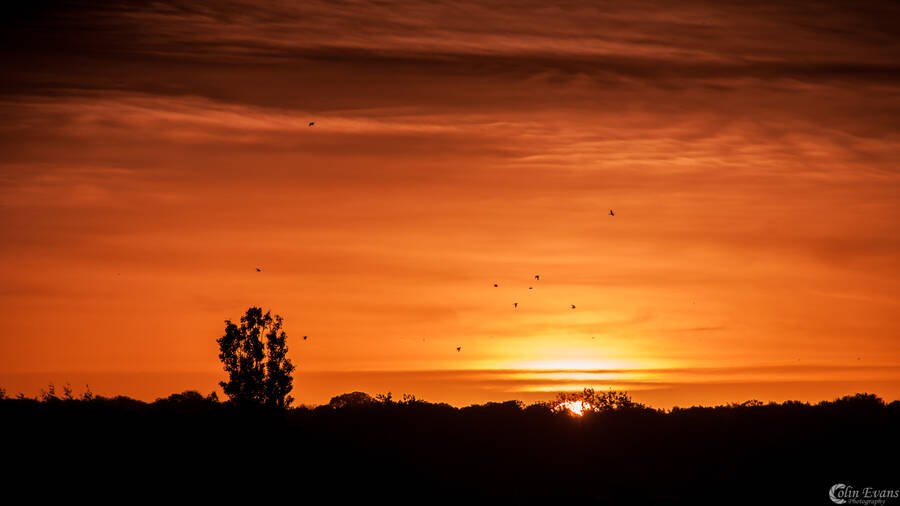photographer Colin Evans landscape  photo