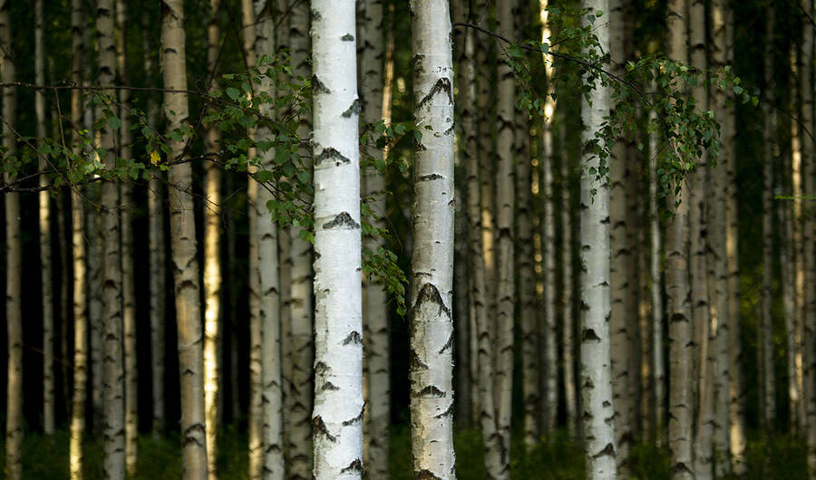 photographer Fotofreak landscape  photo