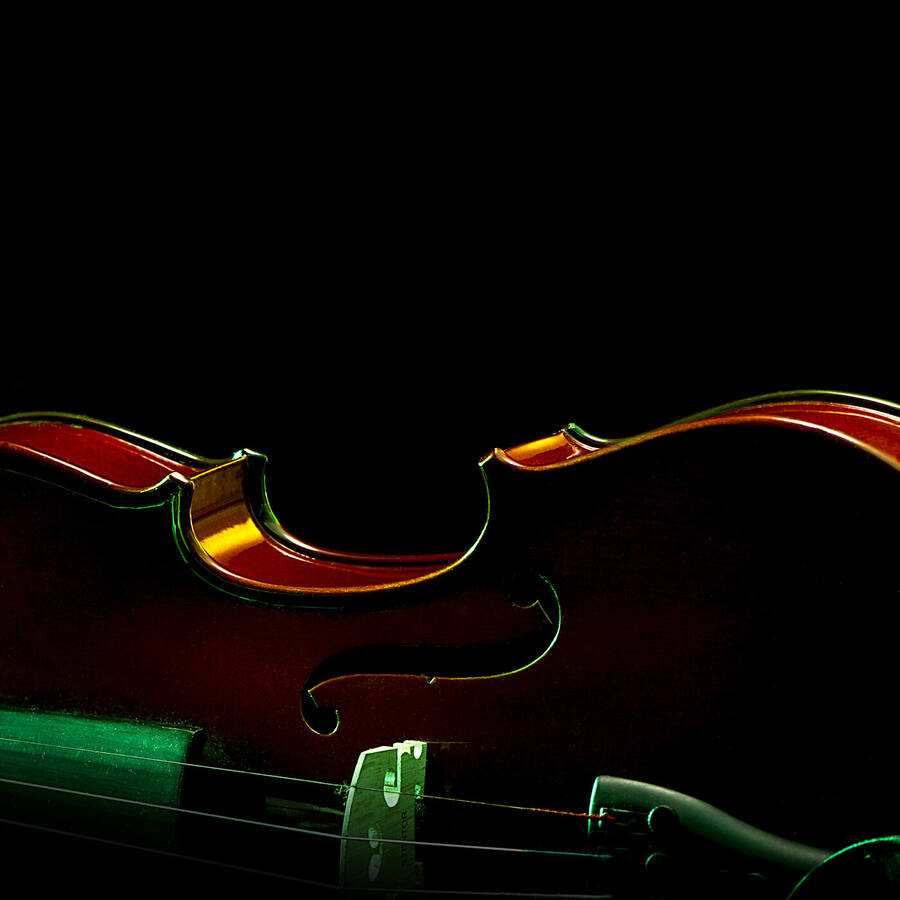 photographer DAKapture still life  photo