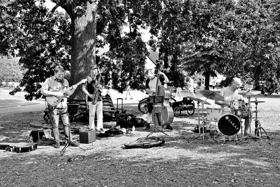 photographer StephenEssexPhotographer performance  photo taken at Colchester Castle Park