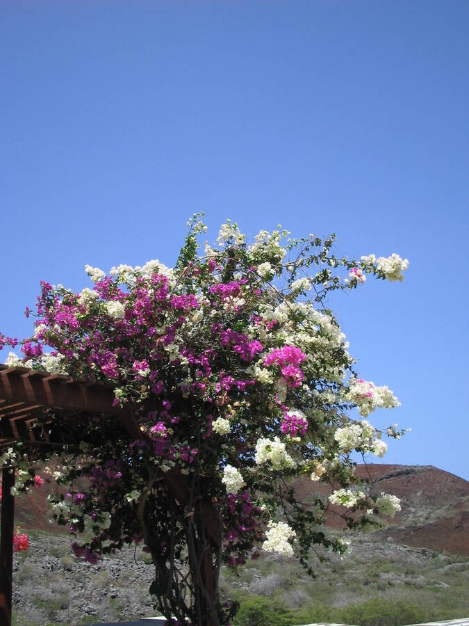 photographer pritch501 landscape  photo