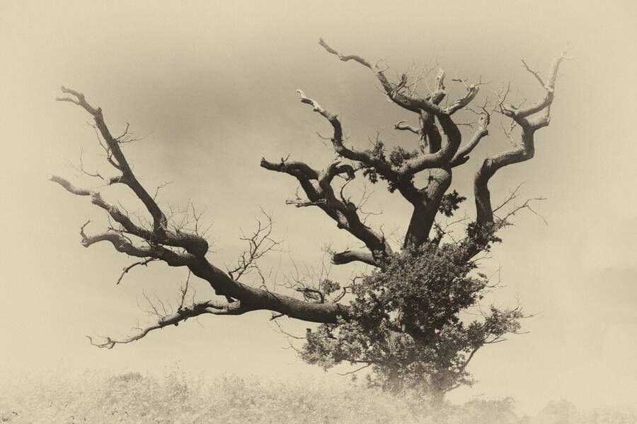 photographer CirroCu landscape  photo