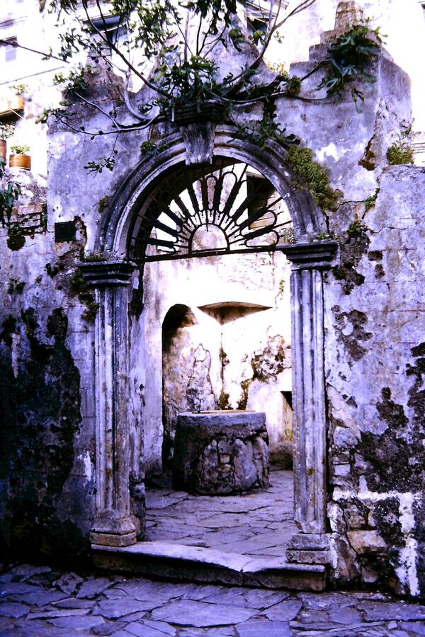 photographer Dave Wells uncategorized  photo