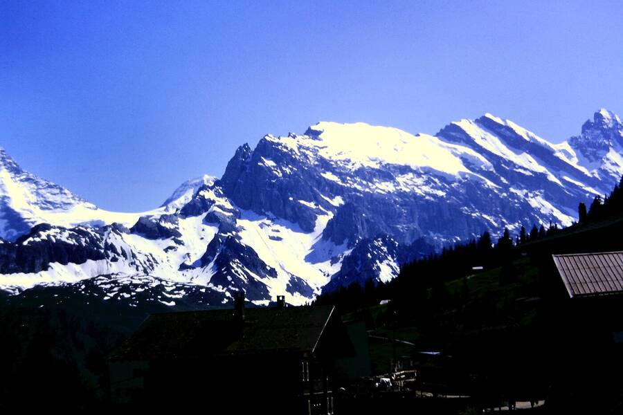 photographer Dave Wells uncategorized  photo