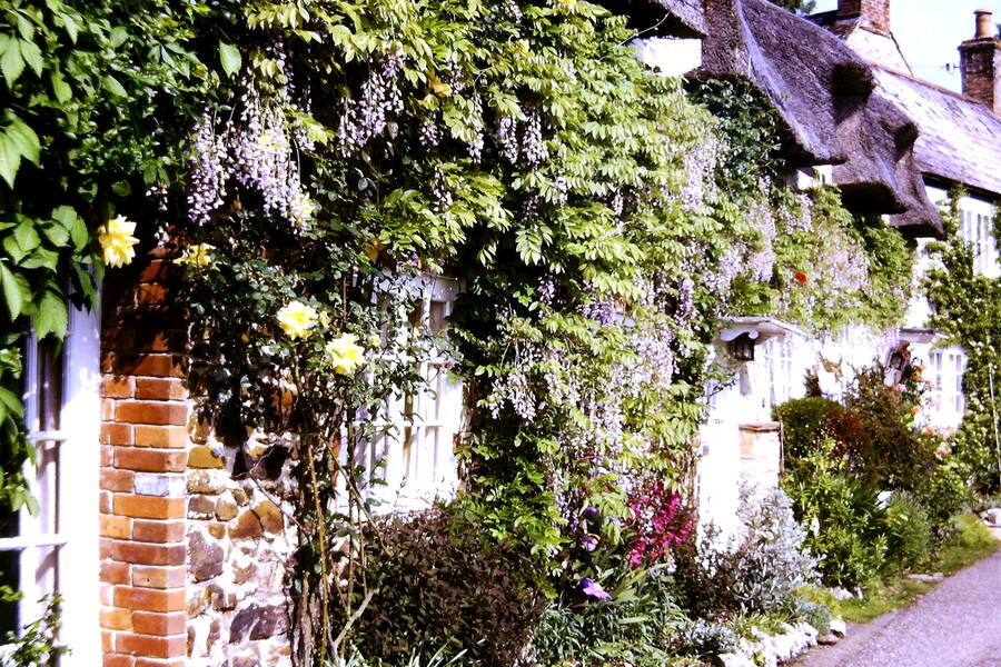 photographer Dave Wells uncategorized  photo