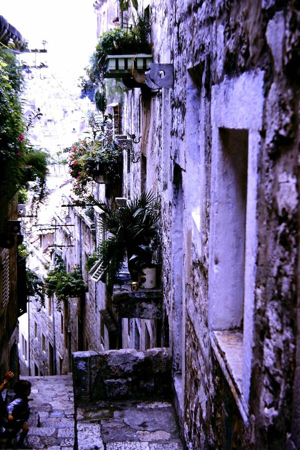 photographer Dave Wells uncategorized  photo