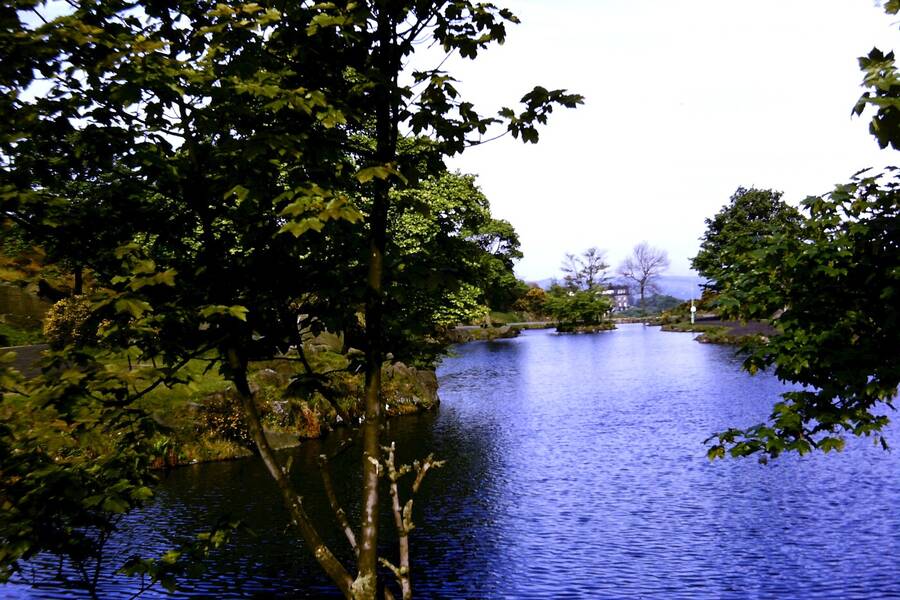 photographer Dave Wells uncategorized  photo