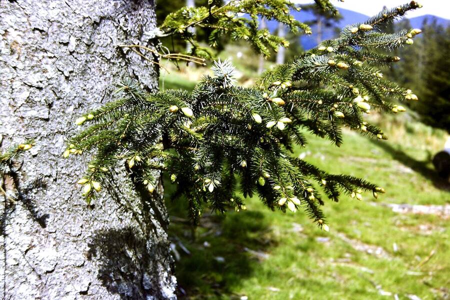 photographer Dave Wells uncategorized  photo