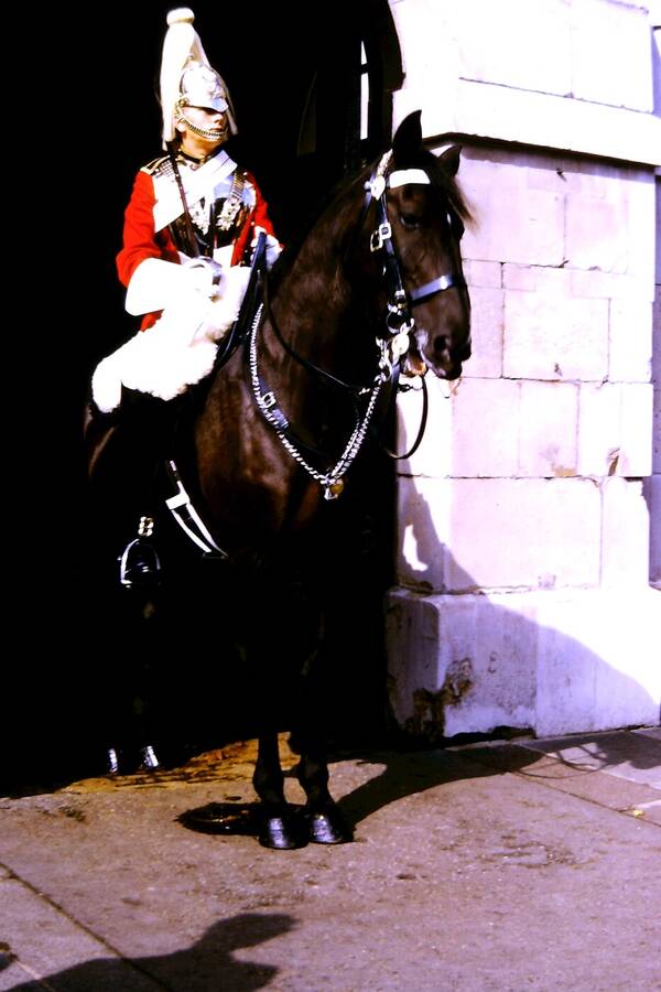 photographer Dave Wells uncategorized  photo