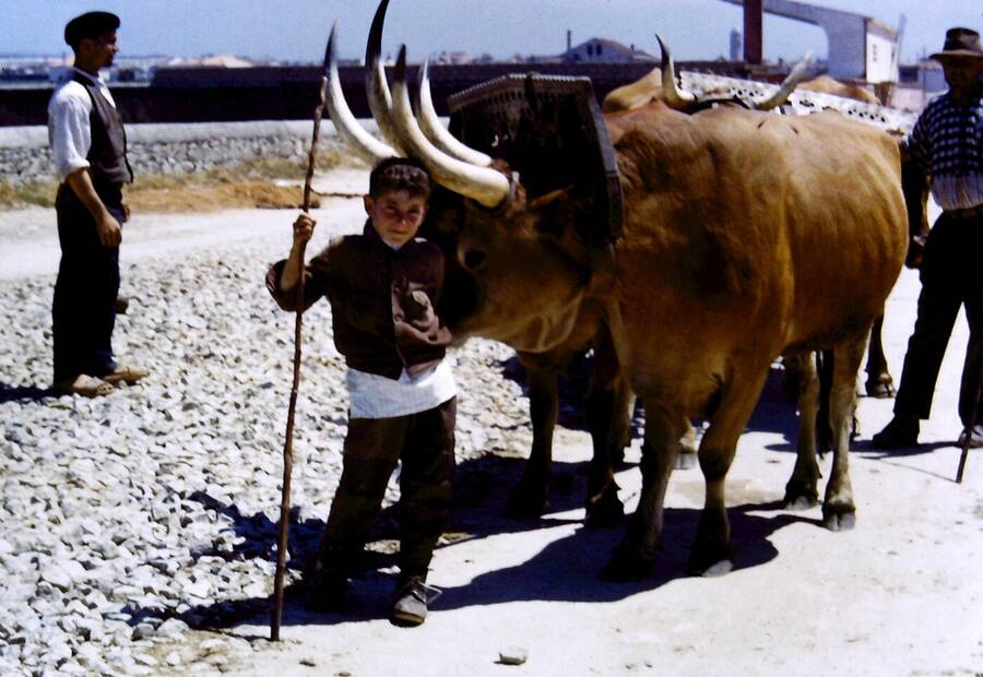 photographer Dave Wells uncategorized  photo