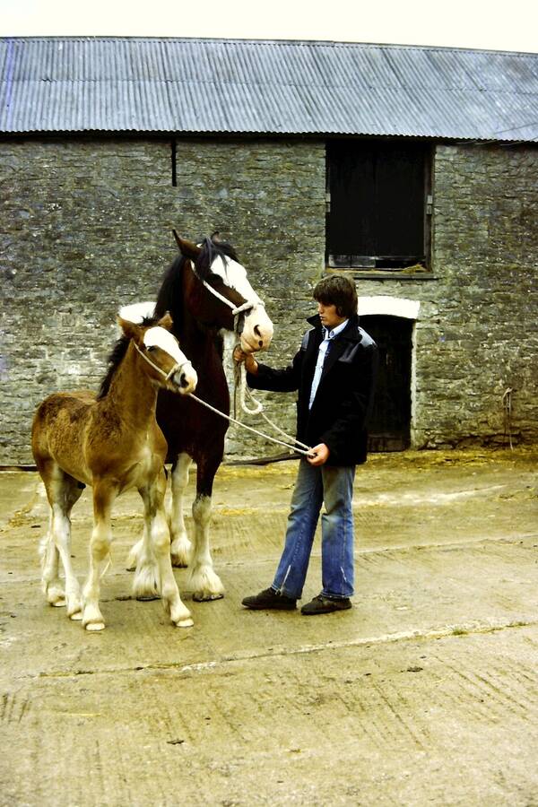 photographer Dave Wells uncategorized  photo