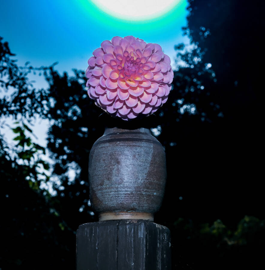 photographer Claudio uncategorized  photo