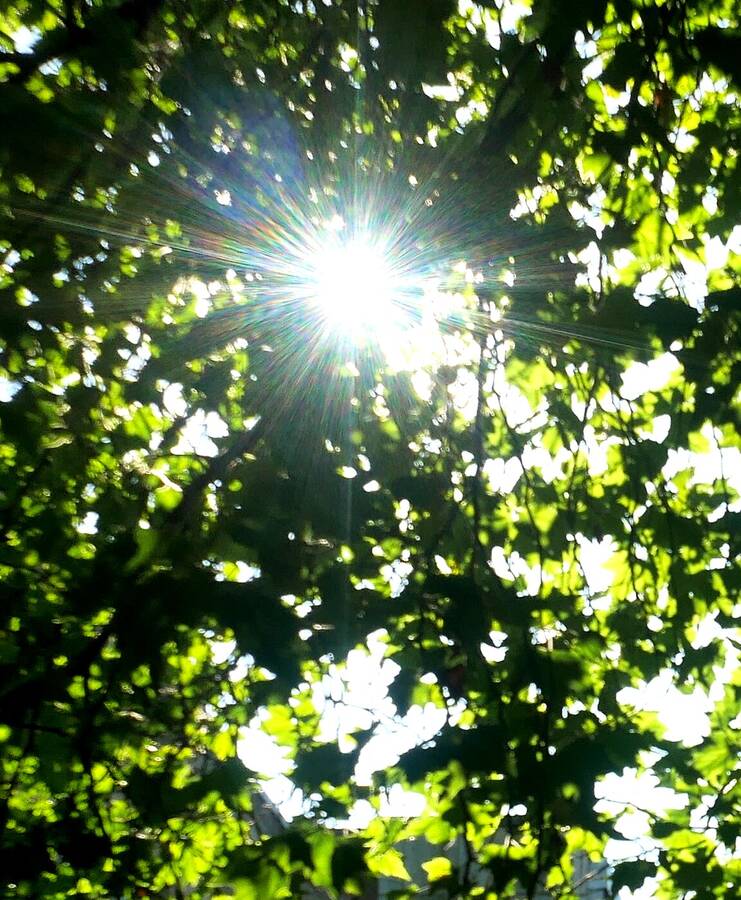 photographer Martin330 abstract  photo taken at Barnsley