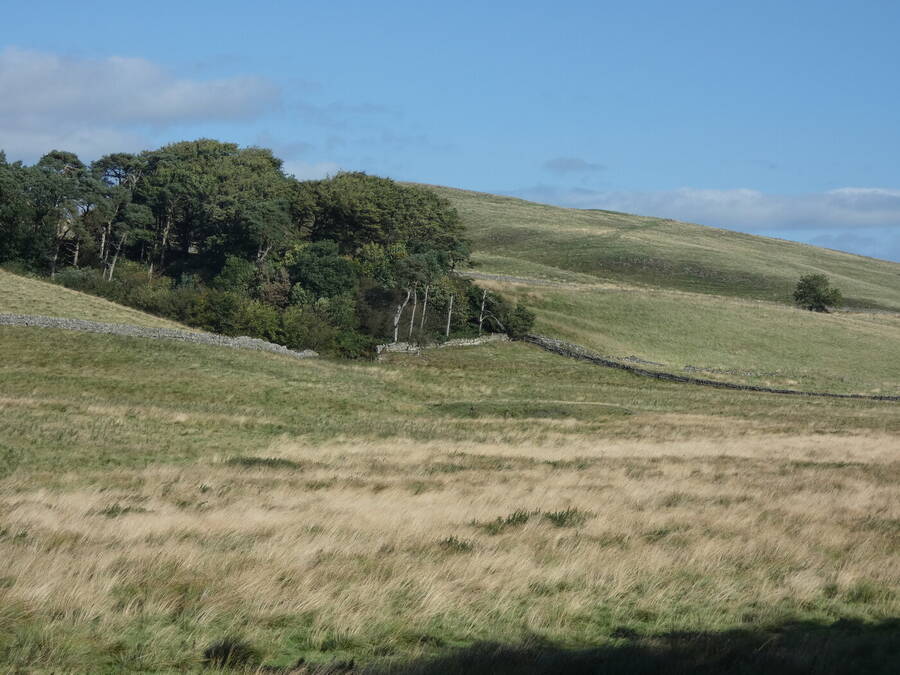 photographer Auralbeauty photography uncategorized  photo