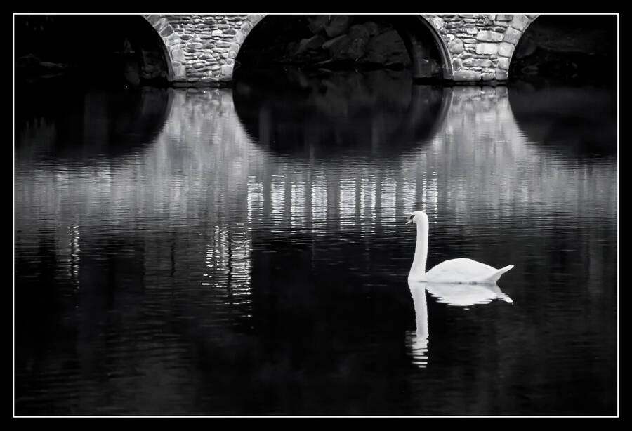 photographer Photog1 uncategorized  photo