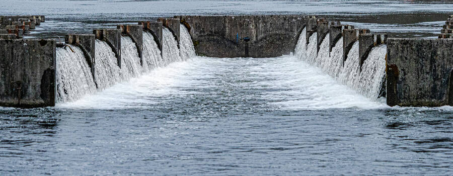 photographer Photog1 uncategorized  photo