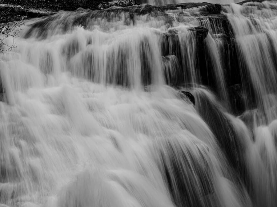 photographer Photog1 uncategorized  photo