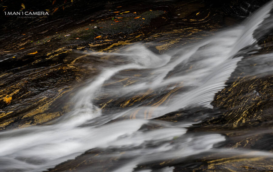 photographer Photog1 uncategorized  photo