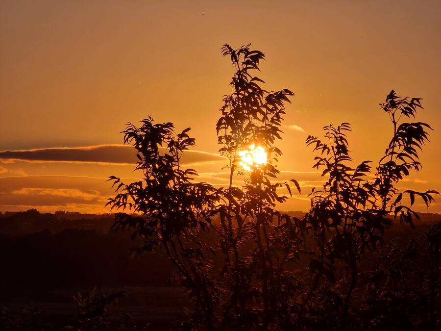 photographer Steph91 uncategorized  photo