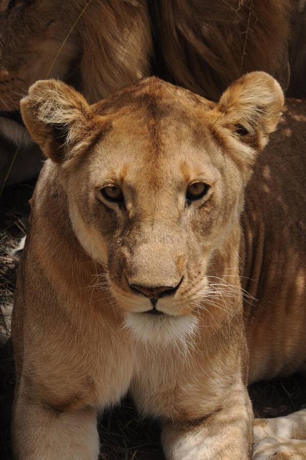 photographer James uncategorized  photo