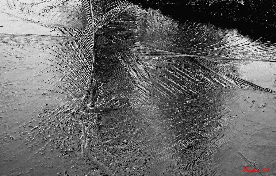 photographer Fanfan95 landscape  photo