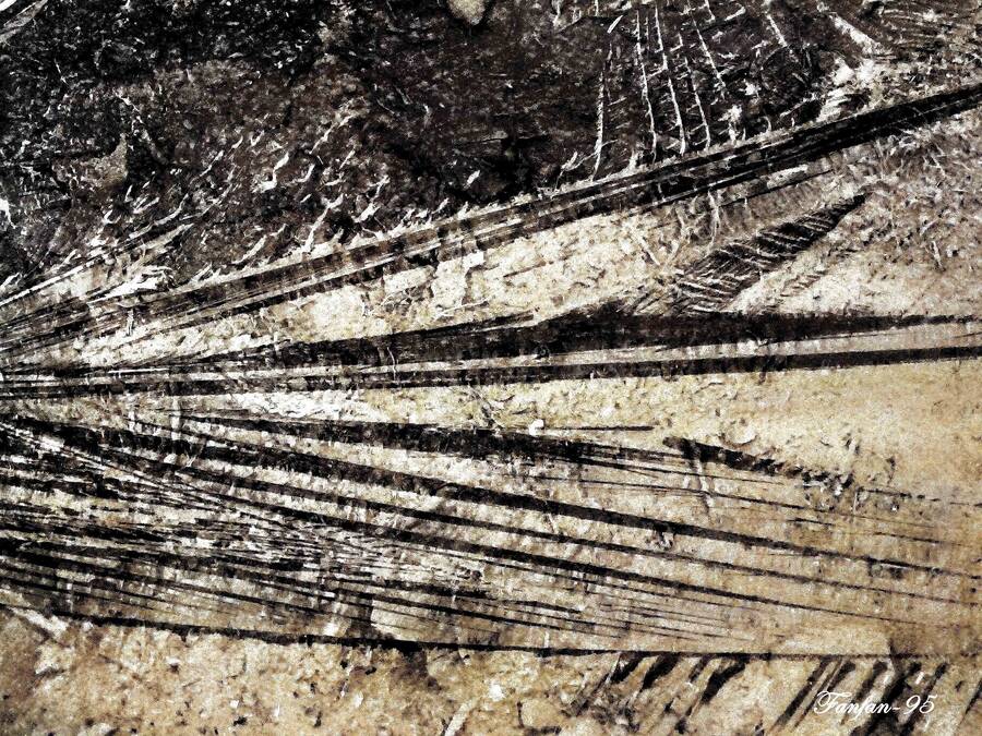 photographer Fanfan95 landscape  photo