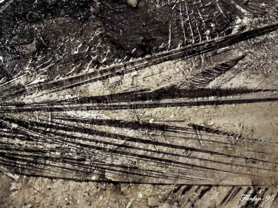 photographer Fanfan95 landscape  photo