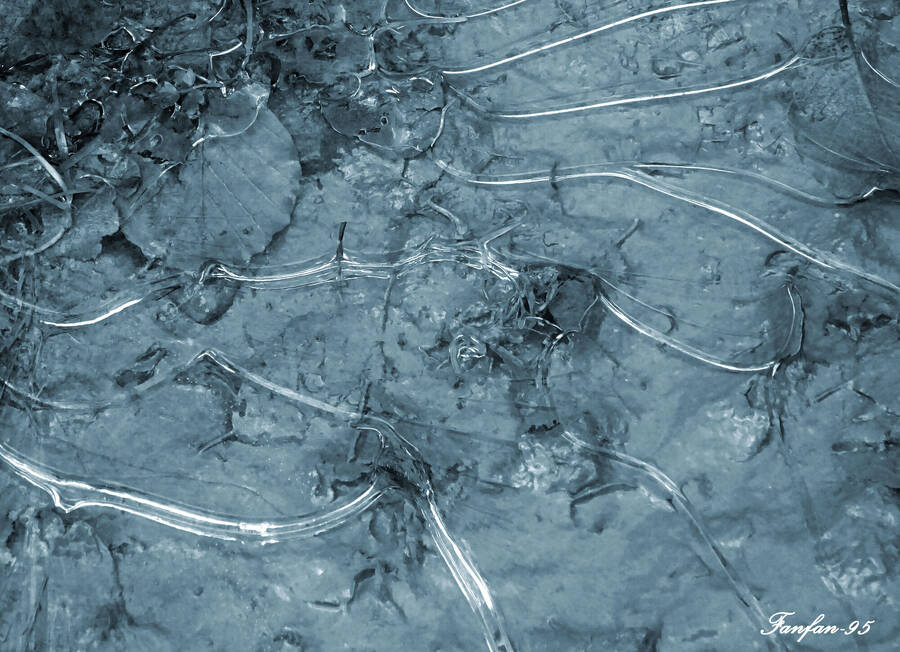 photographer Fanfan95 uncategorized  photo