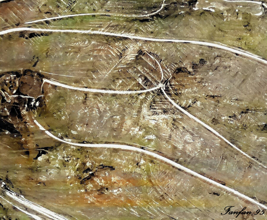 photographer Fanfan95 abstract  photo