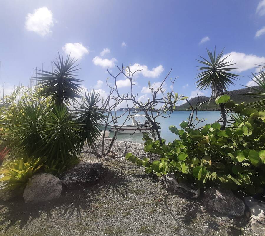 photographer JFC Images uncategorized  photo